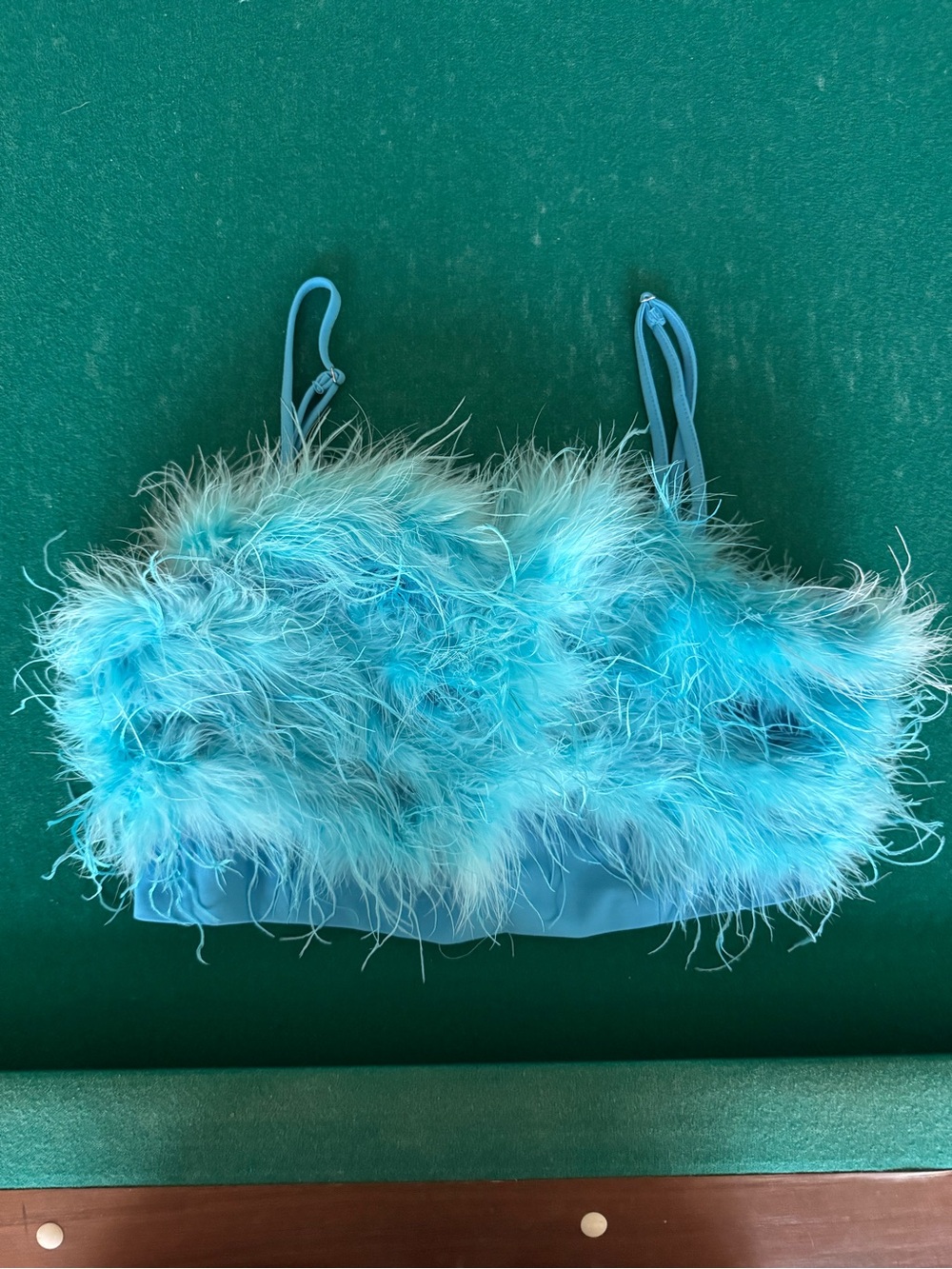 Ina Teal Blue Feather Trim Crop Bralette